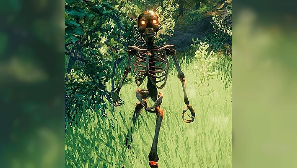 How to get a lot of bones in Valheim. Where can I find skeletons?