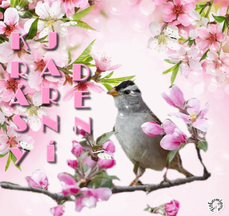 jaro%2Bmot.gif%20%20