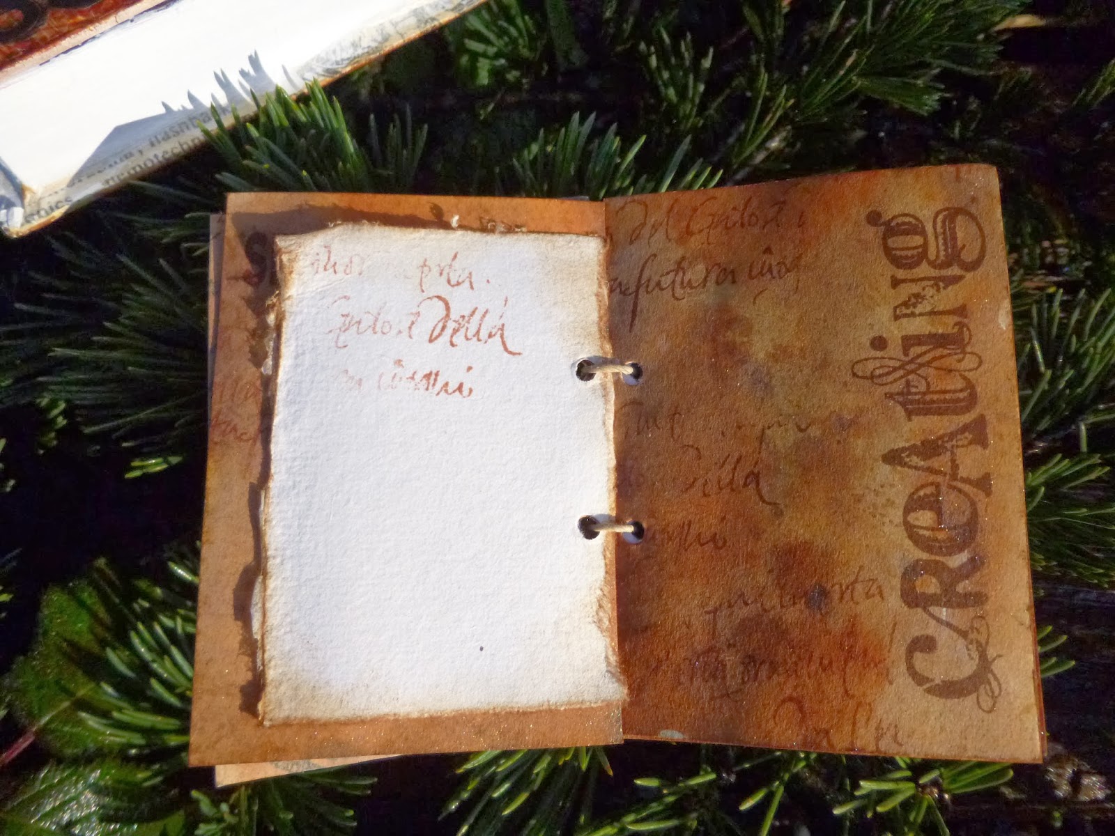 Words and Pictures Take a leaf out of my book...