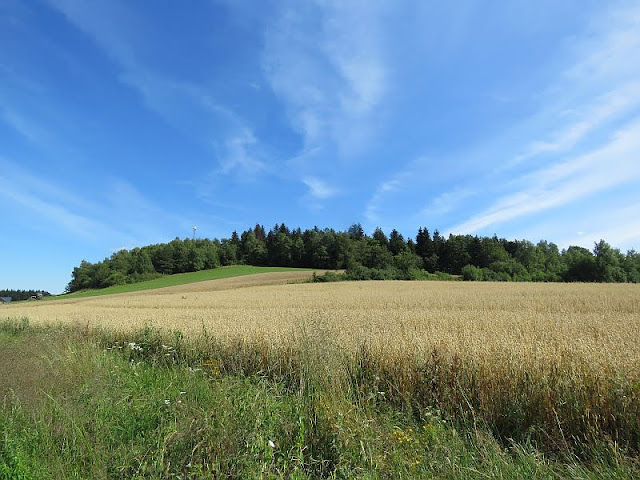 bukowiec Wyżny Bukowiec