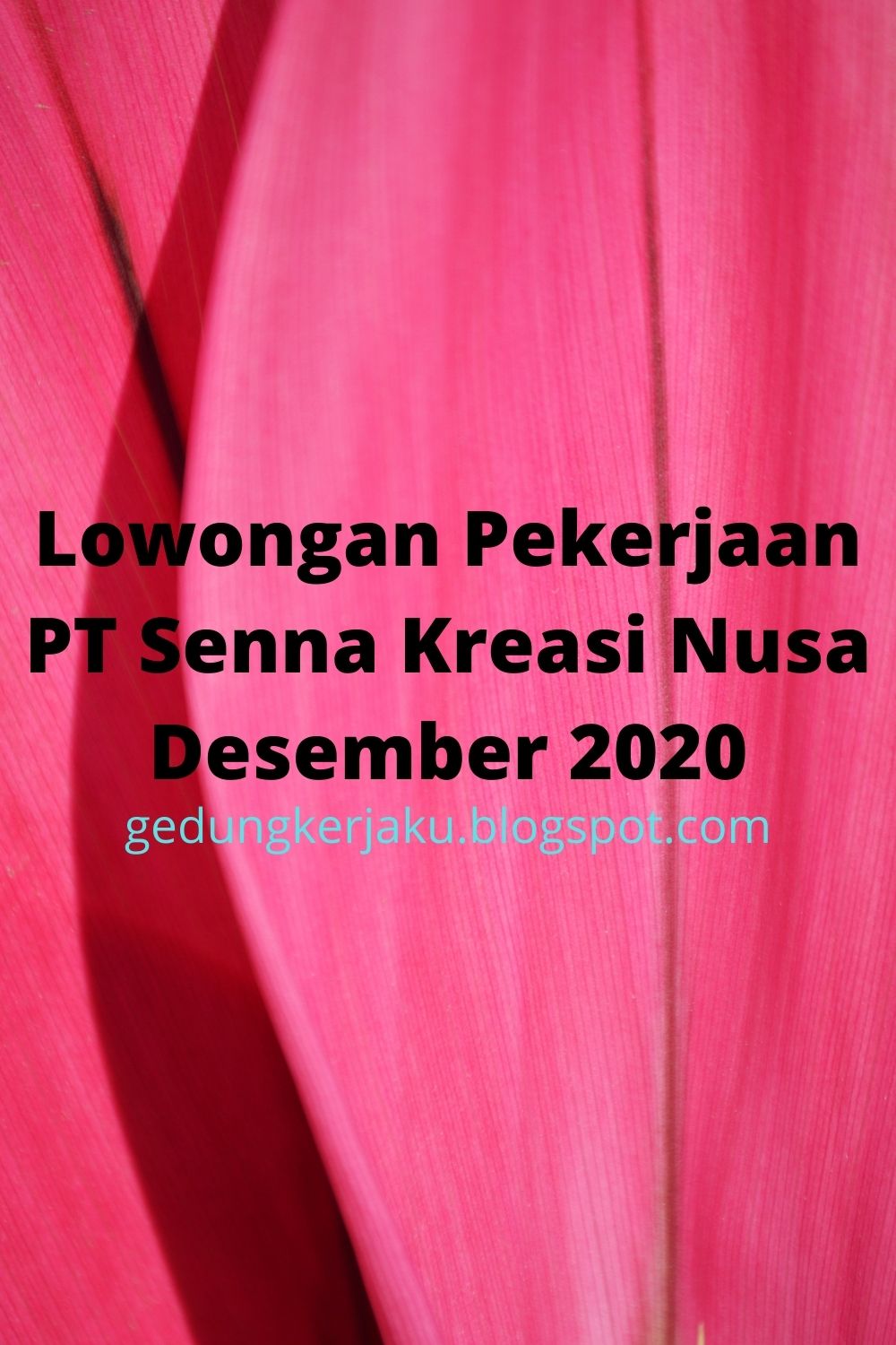 Lowongan Pekerjaan PT Senna Kreasi Nusa Desember 2020
