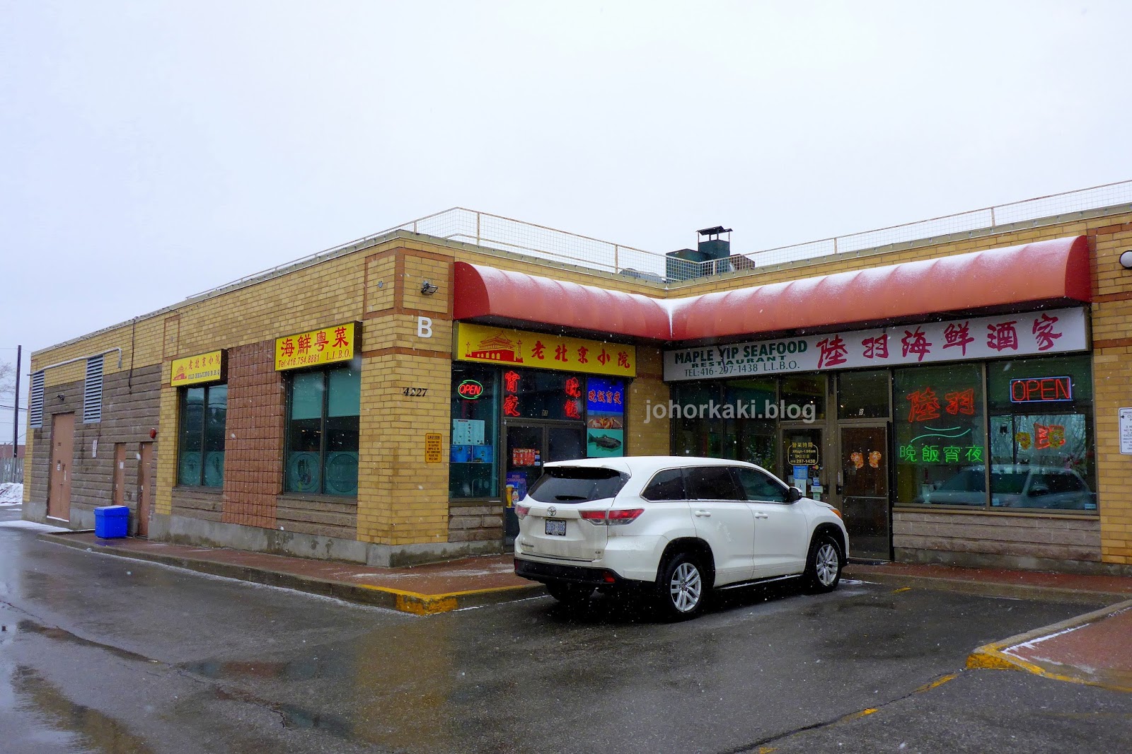 Maple Yip in Scarborough Famous Lo Mai Gai and Winter Melon Soup Tony