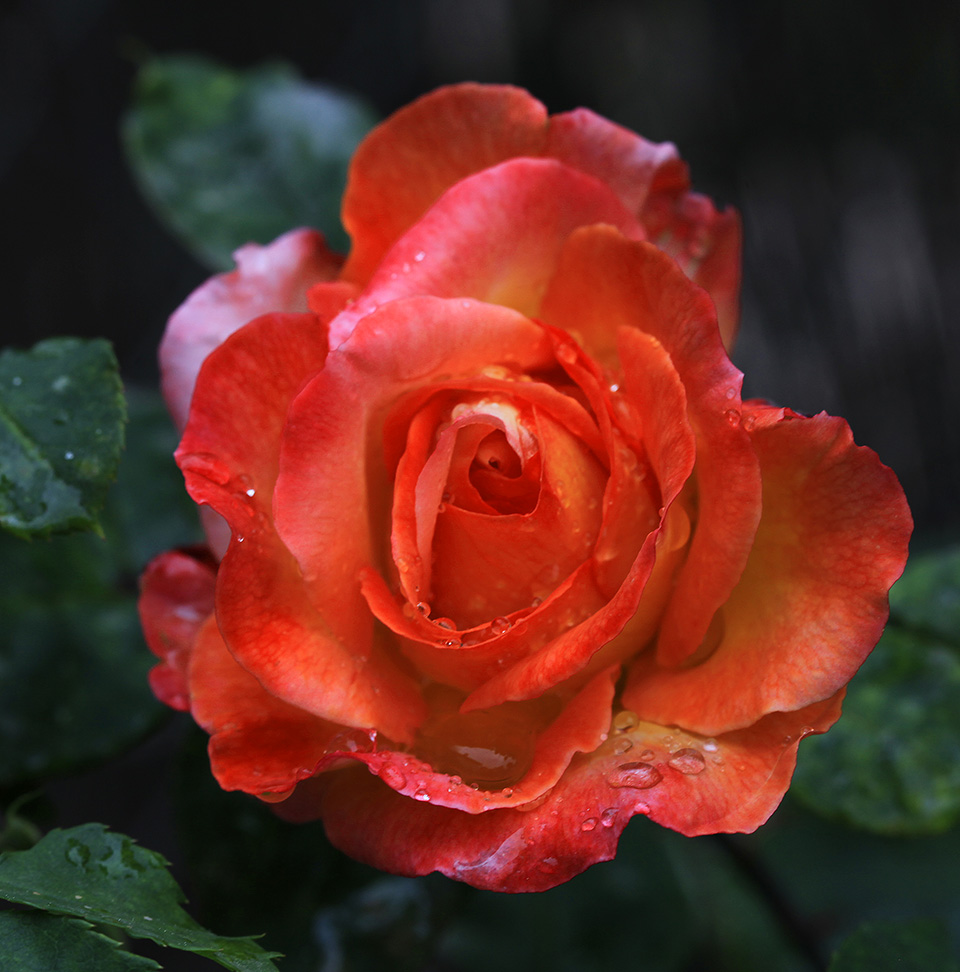 MIS VIAJES:DESDE ZARAGOZA A LA LUNA