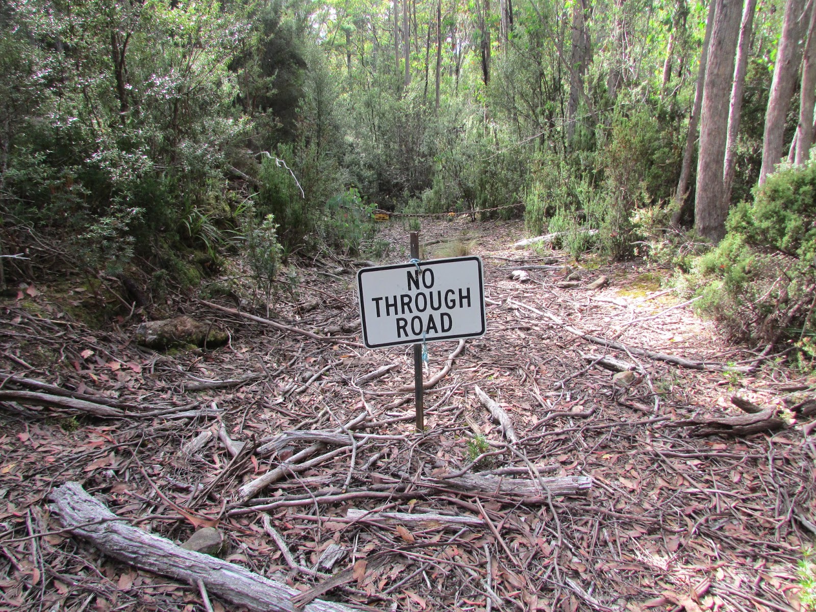 Bakers Creek Trail Hiking South East Tasmania