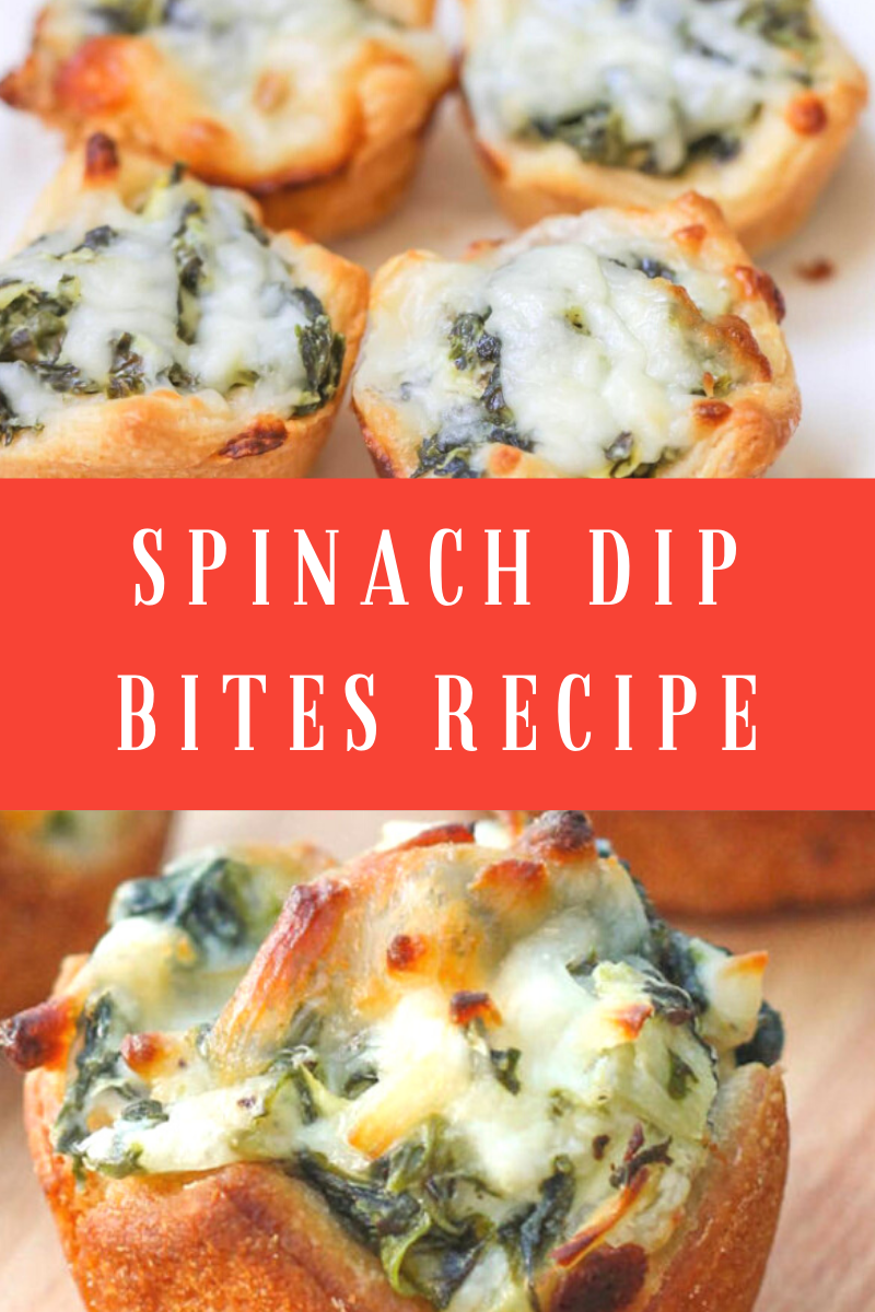 Spinach Dip Bites Recipe Dinner Recipesz
