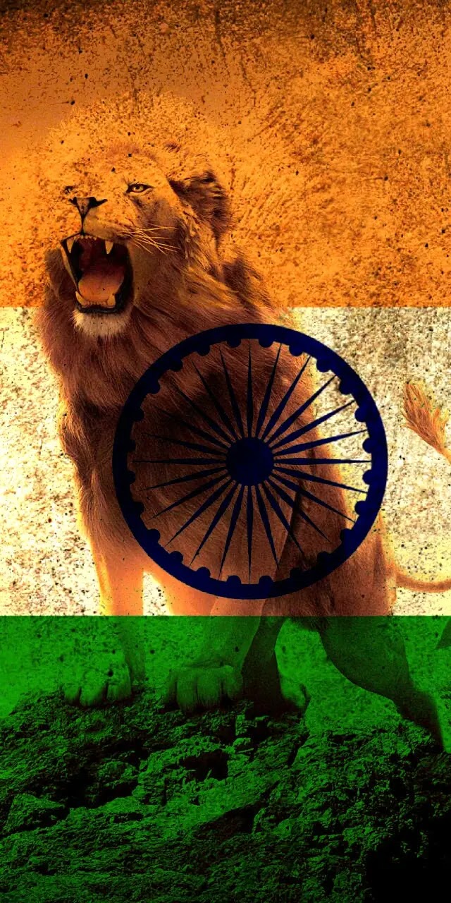 100+ Indian Flag DP Wallpapers Collection