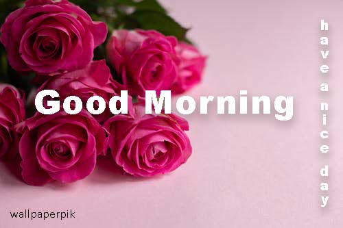 good morning wishes for lover