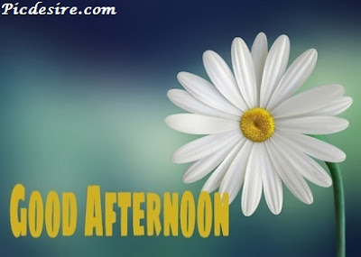 Best 50 Good Afternoon Images 2020 || Good Afternoon Images for Whatsapp Best 50 Good Afternoon Images 2020 || Good Afternoon Images for Whatsapp