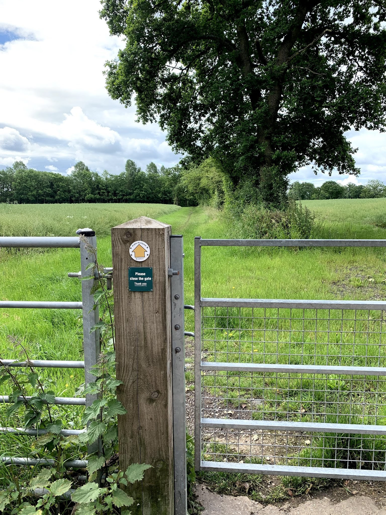 gate leading into field