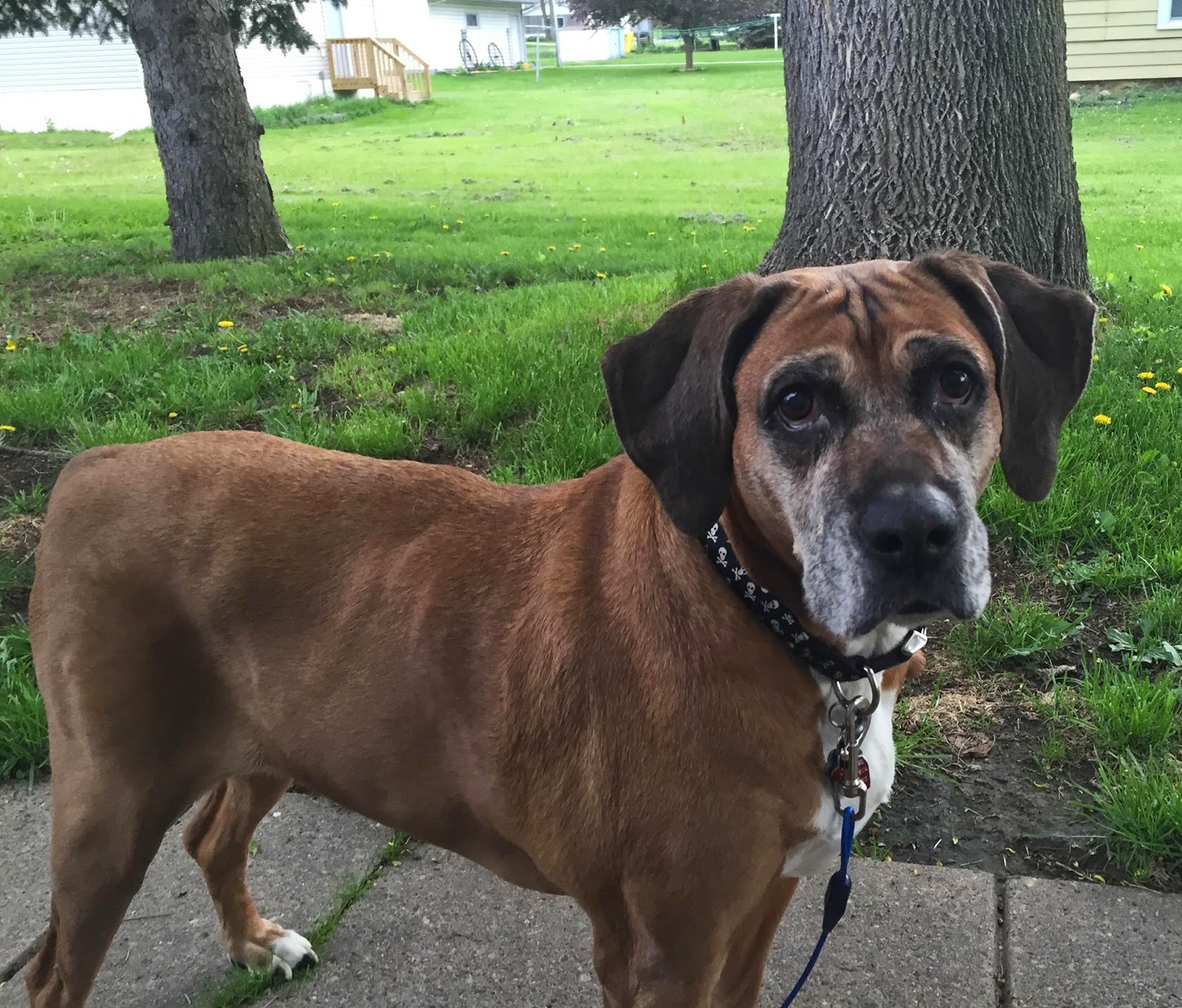 Moments of Introspection Camera Critters Shelby Saturday