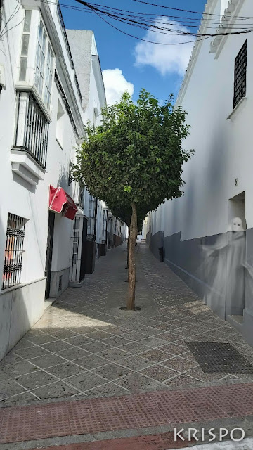 un fantasma en una calle de medina sidonia