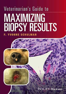 Veterinarian’s Guide to Maximizing Biopsy Results