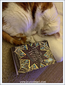 Feline Fiction on Fridays #126 ©BionicBasil® The Star-Spun Web - Amber's Purrsonal Copy