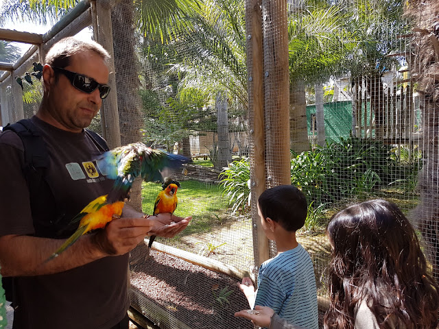 zoo aventura furgo-camper-alacant-valencia-nens