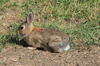 To Behold the Beauty: 9/1/16 - 10/1/16