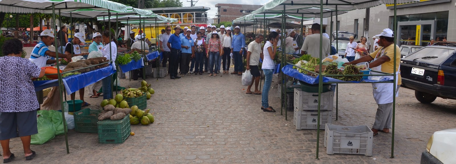 Prefeitura Municipal de Pedras de FogoPB