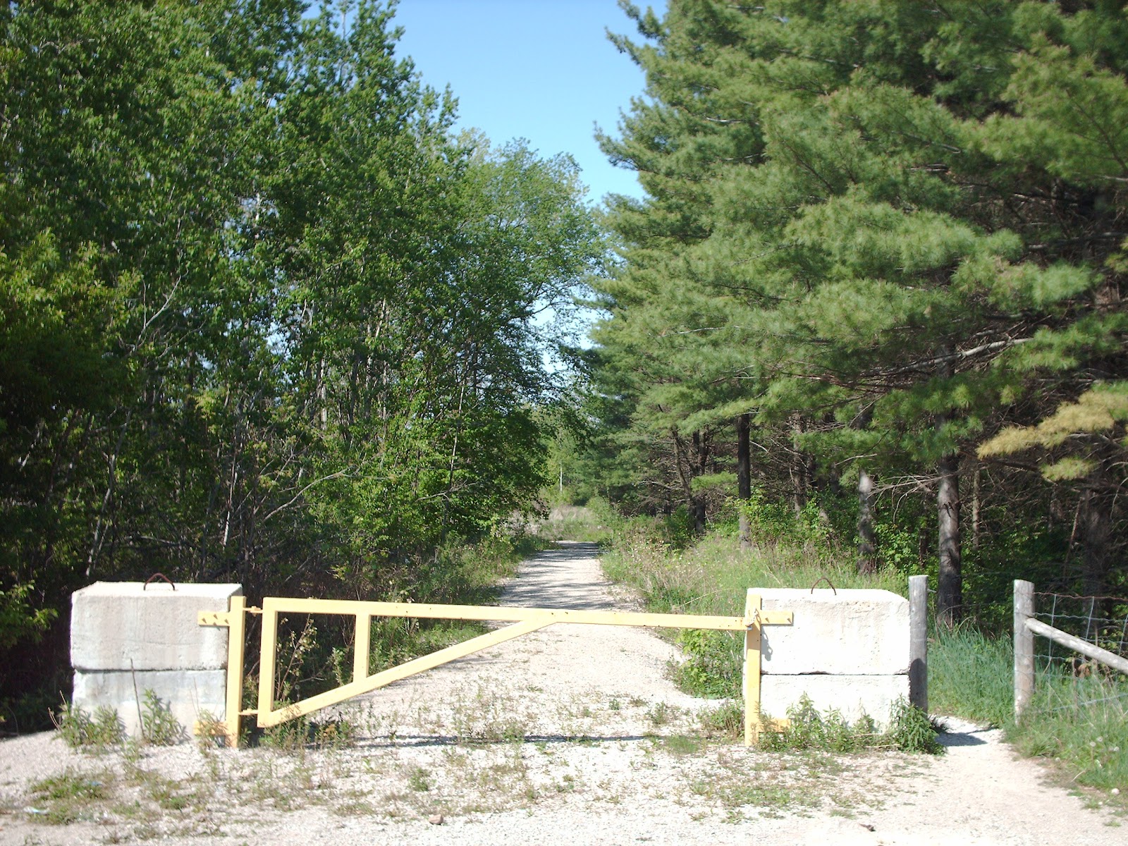 pineview bike trails