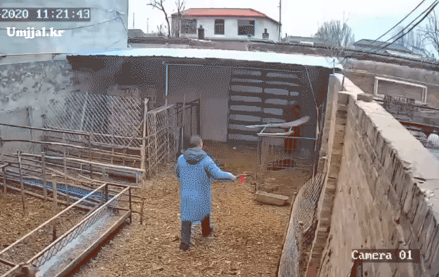 Umjjal_kr_581.gif