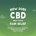 How Does CBD Help With Pain Relief #infographic