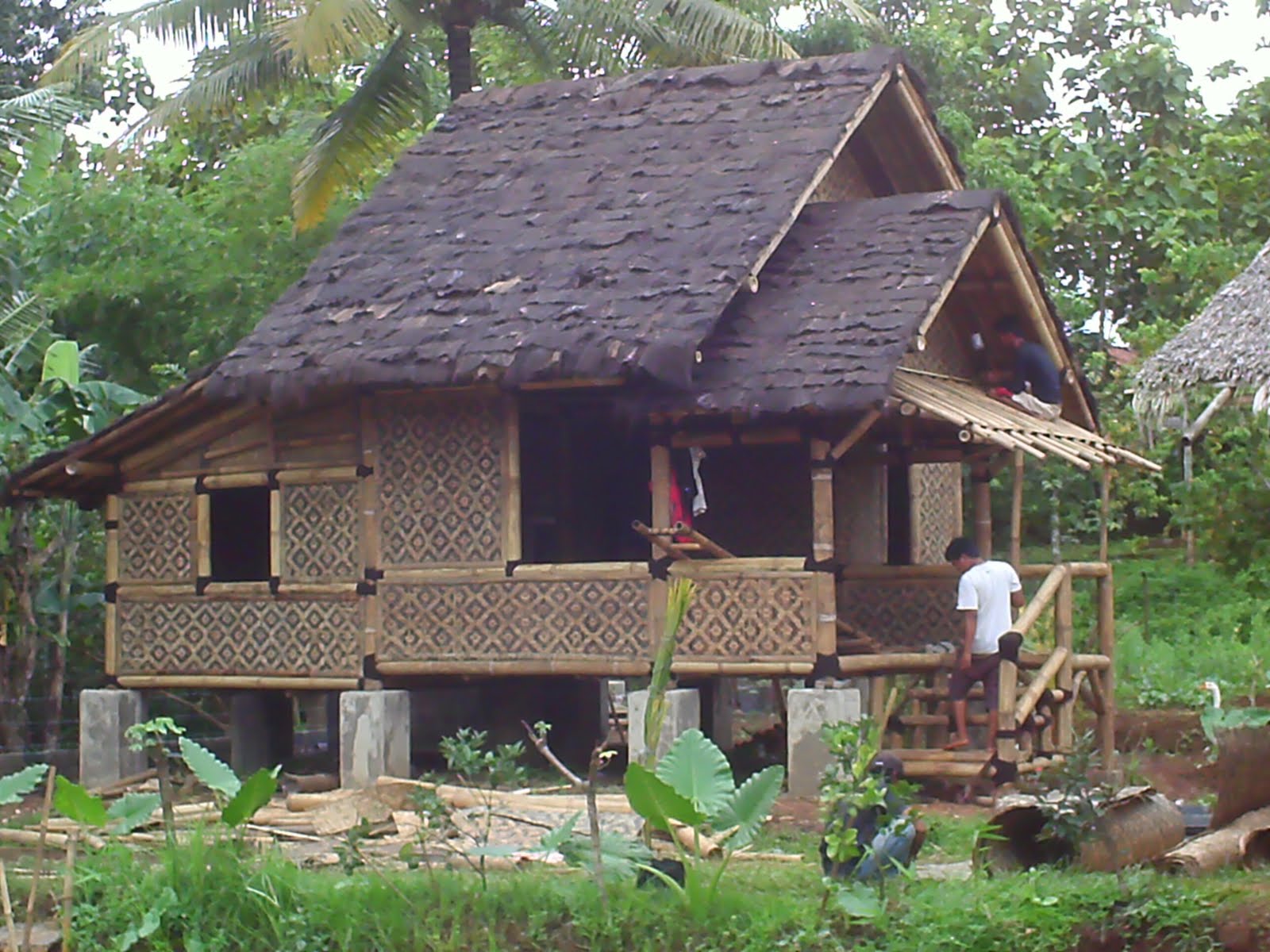 Bamboo house 21
