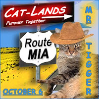 Oct. 6, 2011-Travels with Mr. Tigger- MIA Day