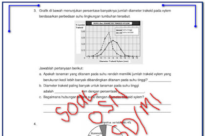 Contoh Soal - Soal Olimpiade Osn Mapel Ipa Sd/Mi