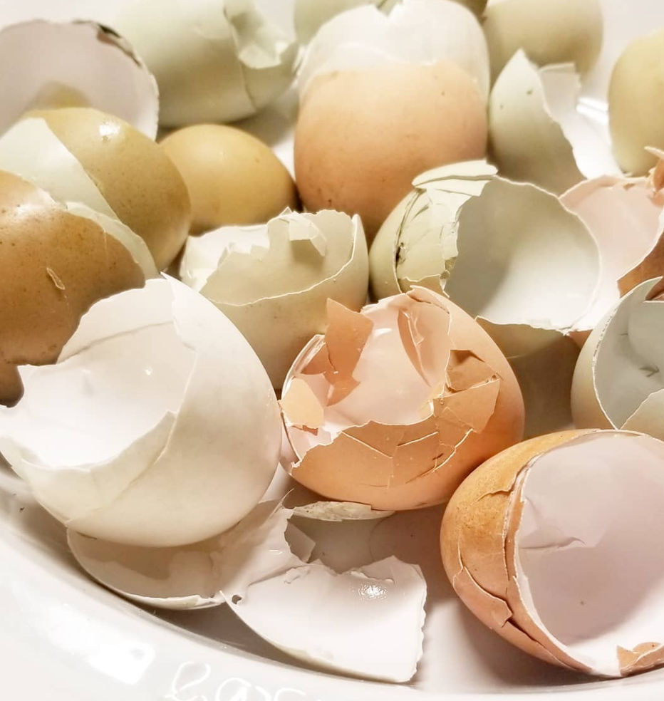 The Basics of Natural Chicken Keeping Fresh Eggs Daily® with Lisa Steele