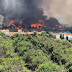 Estepona Fire Update- Fire is now Controlled; 30 Homes Forced to Eviction