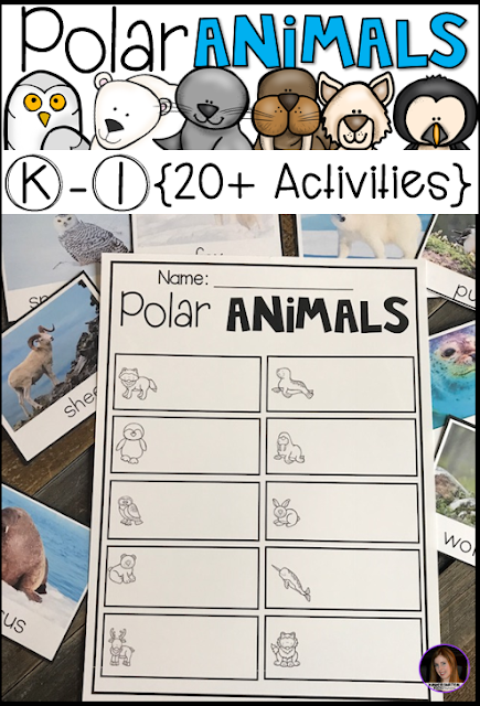 Arctic and Polar Animal 20+ Activities for Kindergarten and First