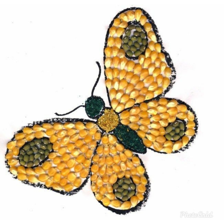 Menempel Biji Bijian Pada Gambar Burung Paimin Gambar
