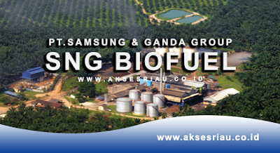 PT Samsung & Ganda Group (SNG Biofuel) Pekanbaru