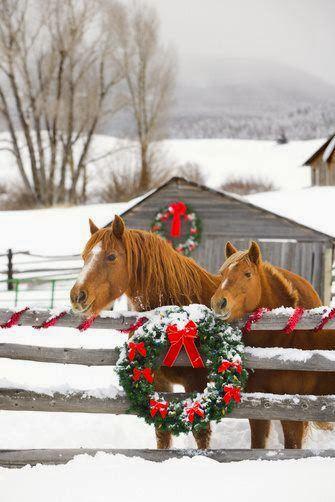Shabby in love: A Country Christmas (Decor Ideas)