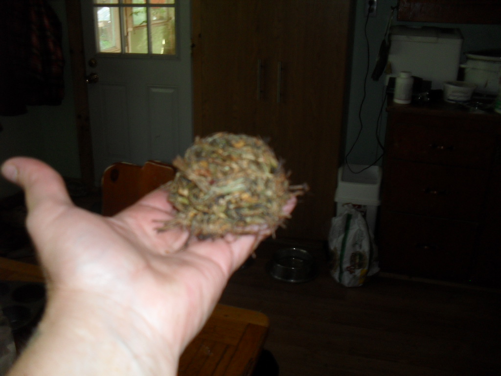 My Half Acre Homestead Something different...Making my own Rabbit food!