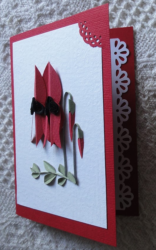 Snap Happy Birding PaperSculpture & Quilling (Australian Native flowers)
