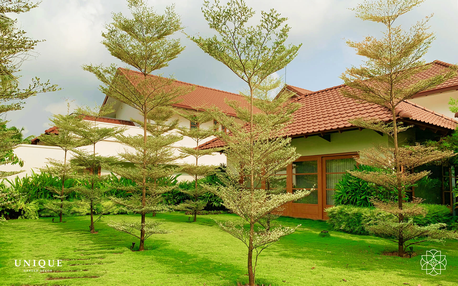 Ornamental Trees ornamental-trees
