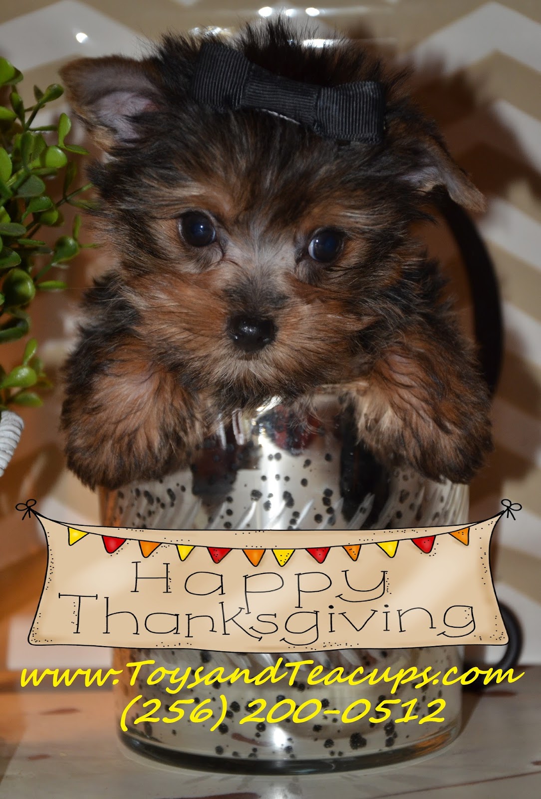 Alabama Toys & Teacups