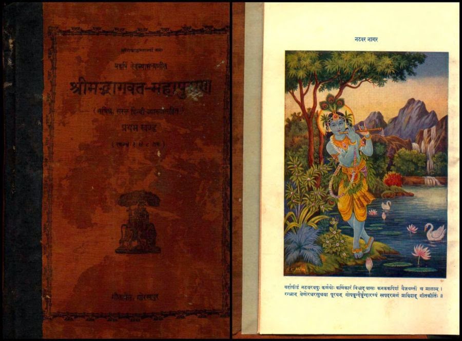 Shrimad Devi Bhagwat Puran In Hindi Pdf