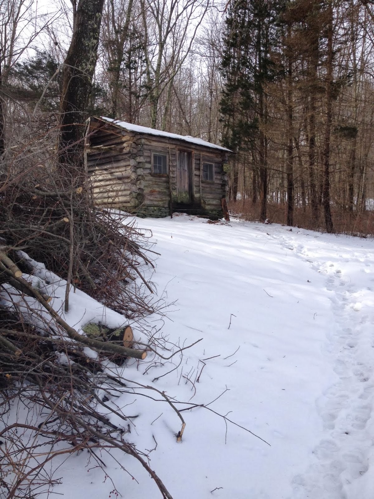 Writing Cabin Writing Cabin in Snow