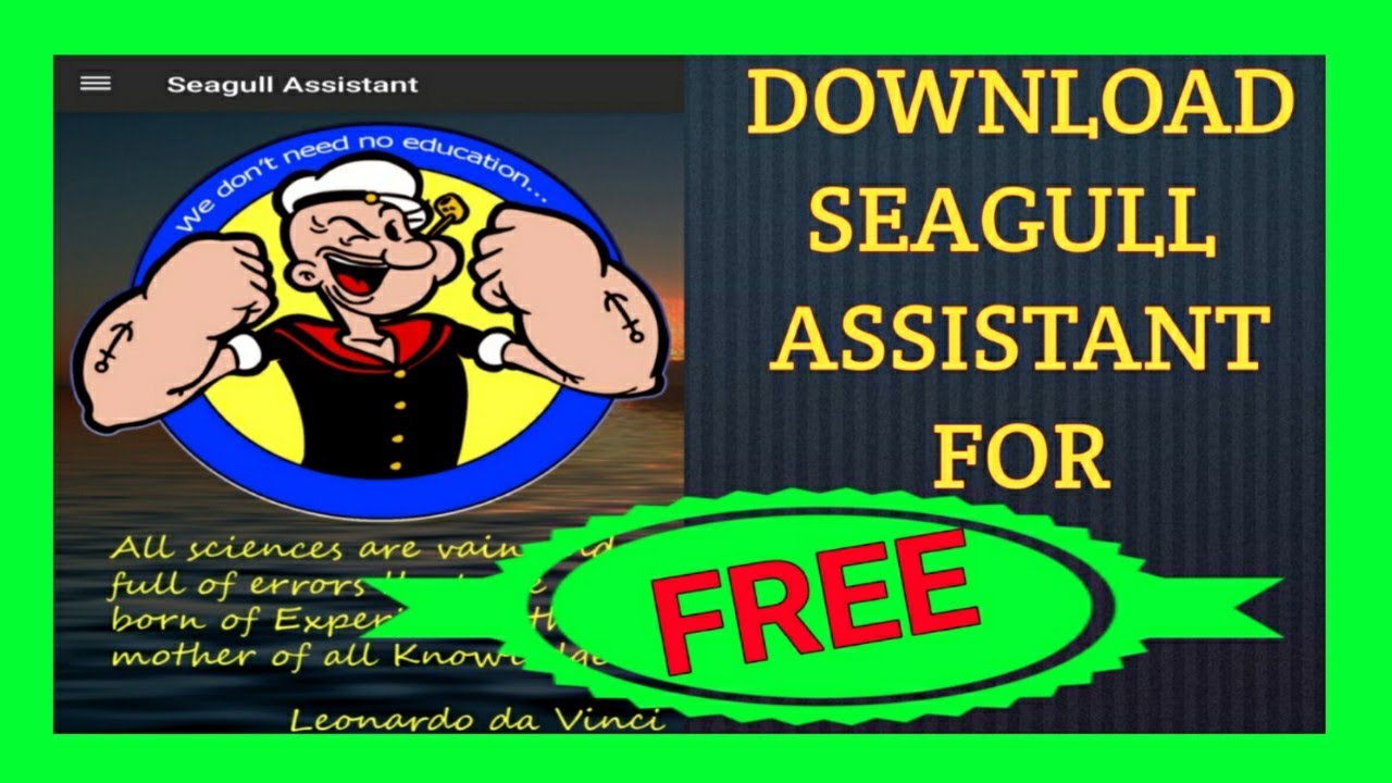 seagull assistant ver 6.4