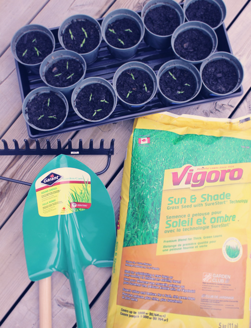 Garant Shovel and Vigoro Seed Home Depot