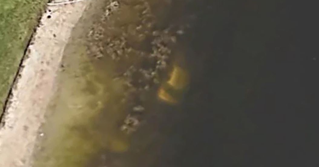 Just A Car Guy a car was just discovered submerged in a pond near Palm