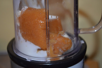 Yogurt and frozen puree Photo by Trisha Field