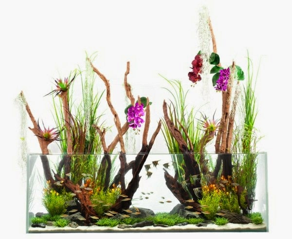 Use aquarium as a room divider – 26 examples.