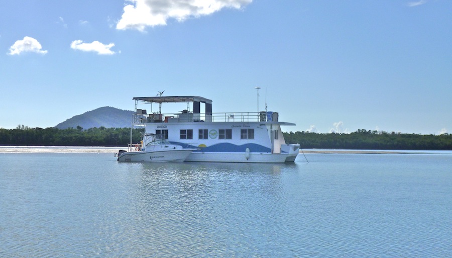 Of Cockatoos and Kangaroos Hiking the Thorsborne Trail on Hinchinbrook
