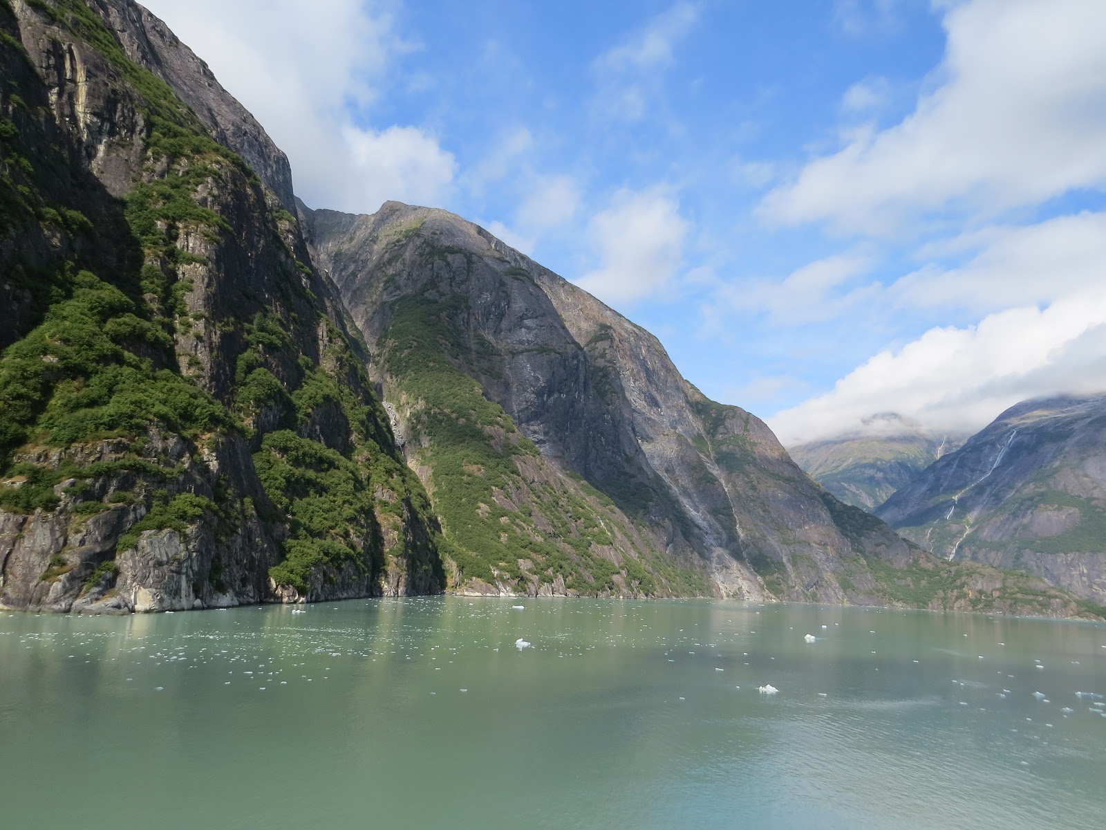 Have Book, Will Travel: Tracy Arm Fjord, Alaska