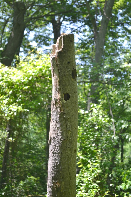 A Beautiful Place to Slow Down