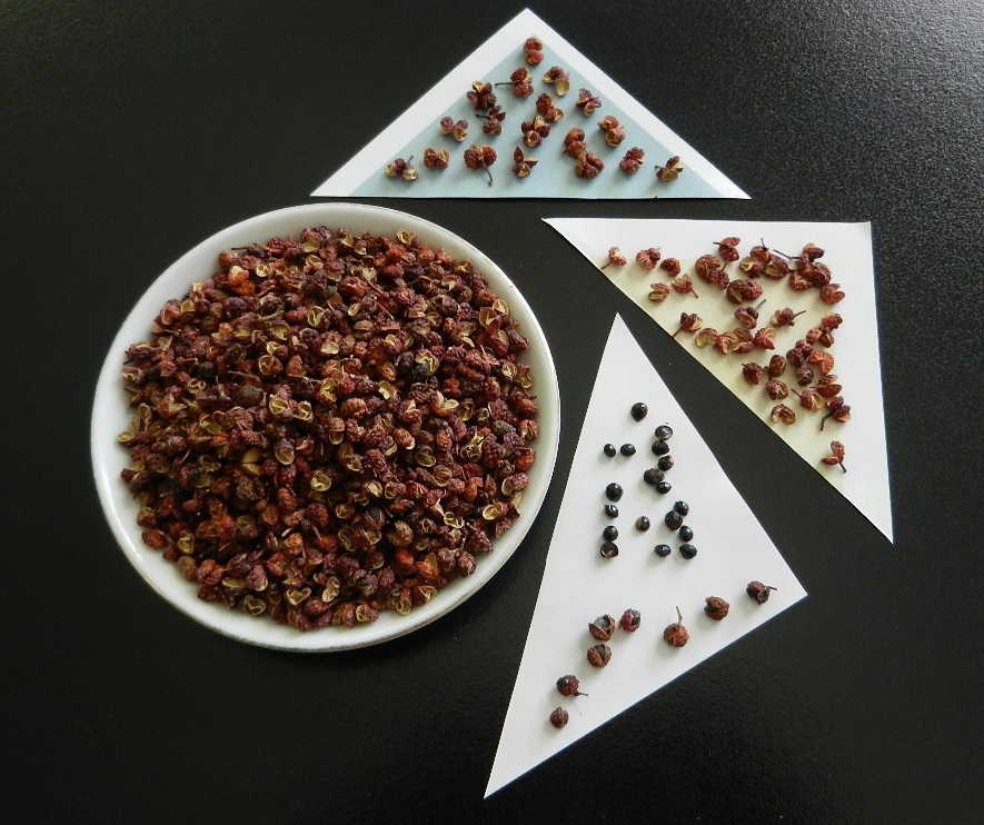 Sizzling Indian Recipes..... Indian Chicken curry with freshly ground