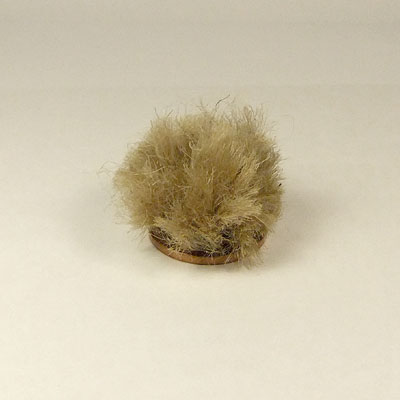 A Plant For All Reasons