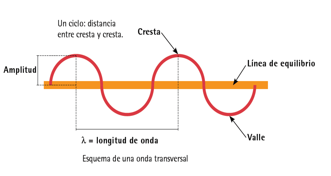 Relacion de longitud de onda y frecuencia