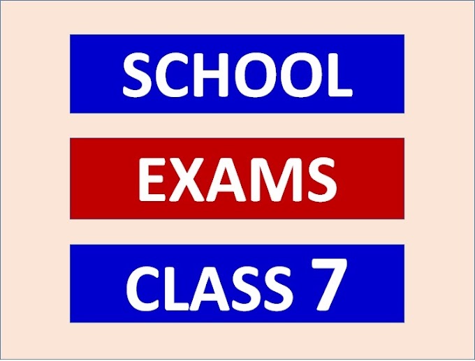 School Exams for Standard Seven